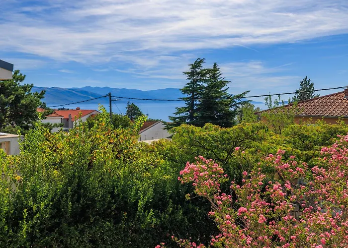 Drazic Апартаменты *